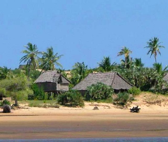 Kipungani Ruins（斯瓦希里遗产 / 博物馆）-非行家旅行-Africa Wild Wander