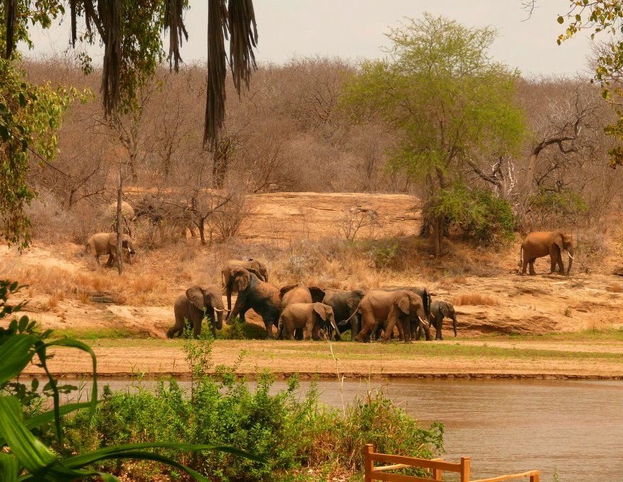 Tsavo Safari Camp（Tsavo / Chyulu / KWS 保护地）-非行家旅行-Africa Wild Wander