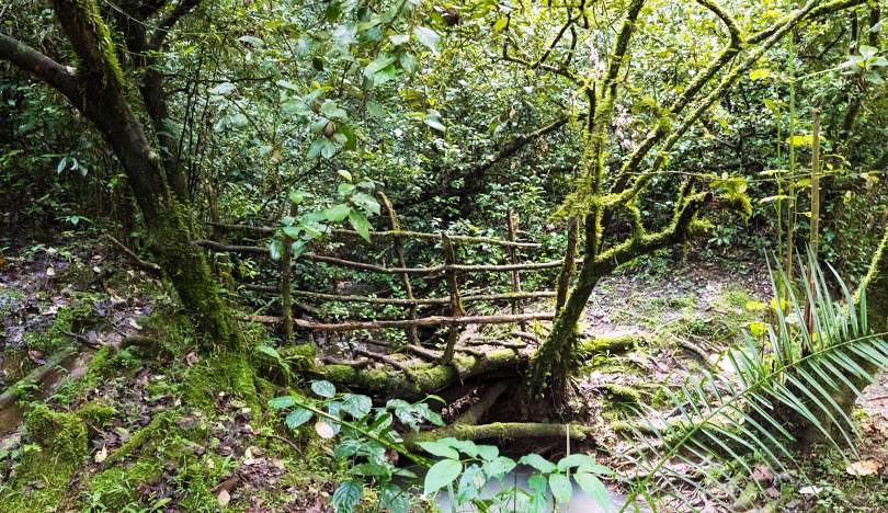 Isecheno Nature Reserve（伊塞切诺自然保护区）-非行家旅行-Africa Wild Wander