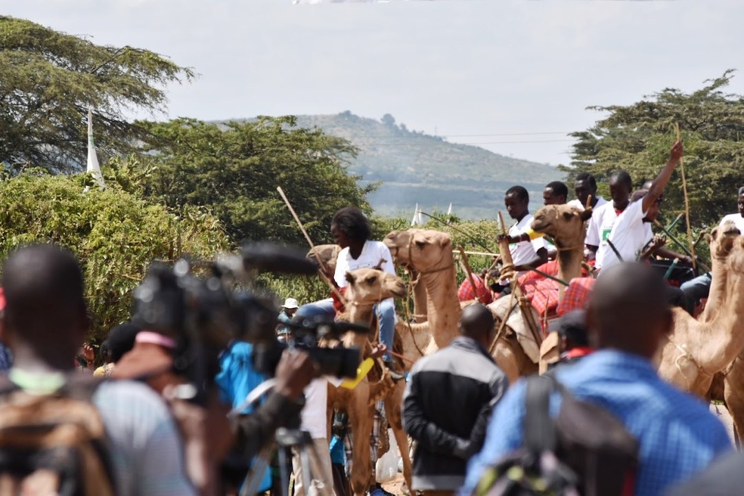 Maralal Camel Derby（马拉拉骆驼德比）