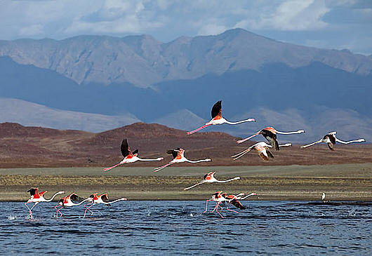 Mount Elgon National Park, Saiwa Swamp National Park, Central Island National Park, South Turkana Reserve, Nasolot National Reserve（水系 / 湖泊 / 海岸）-非行家旅行-Africa Wild Wander