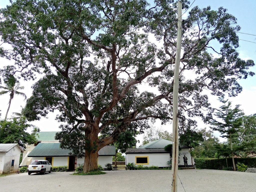 Rabai Museum（历史遗产 / 博物馆）-非行家旅行-Africa Wild Wander