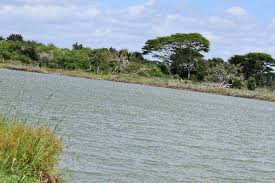 Lake Shakababo(水系 / 湖泊 / 海岸)-非行家旅行-Africa Wild Wander