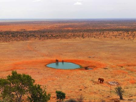 Tsavo East National Park（察沃东国家公园）-非行家旅行-Africa Wild Wander