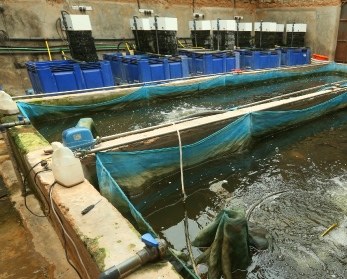 Kamuthanga Fish Farm（县域目的地）-非行家旅行-Africa Wild Wander