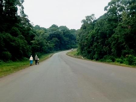 Malava Forest(马拉瓦森林)-非行家旅行-Africa Wild Wander