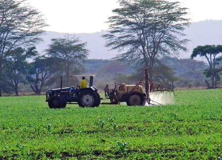 Gicheha Farm（农业 / 庄园）-非行家旅行-Africa Wild Wander