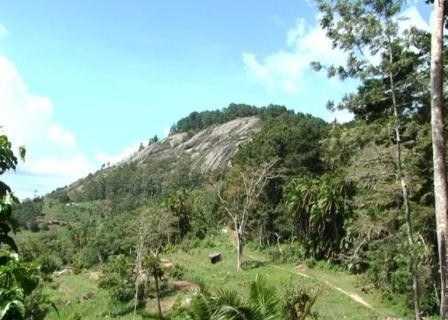 Kenya's Forests（水系 / 湖泊 / 海岸）-非行家旅行-Africa Wild Wander
