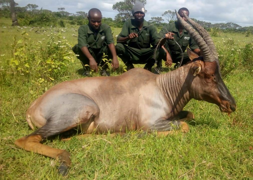 Kipini Conservancy（水系 / 湖泊 / 海岸）-非行家旅行-Africa Wild Wander