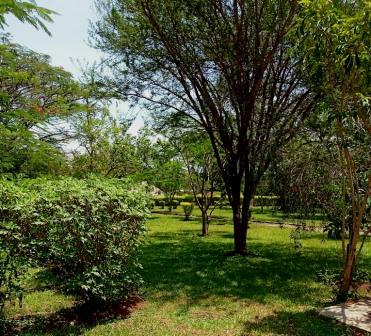 Nabongo Cultural Centre（纳邦戈文化中心）-非行家旅行-Africa Wild Wander