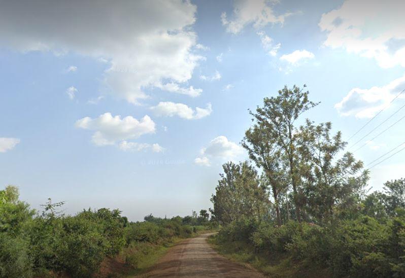 Yala Nature Reserve（亚拉自然保护区）
