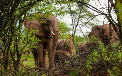 Elgeyo-Marakwet County(埃尔盖约-马拉奎特县)-非行家旅行-Africa Wild Wander