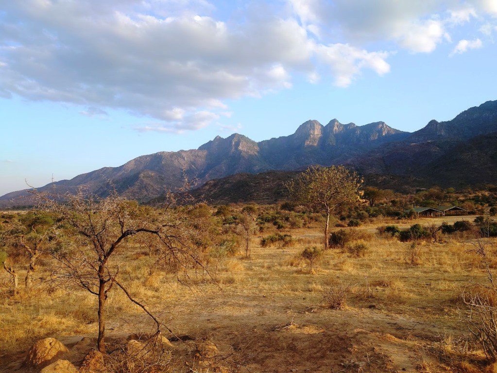 Namunyak Conservancy（纳穆尼亚克社区保护地）-非行家旅行-Africa Wild Wander