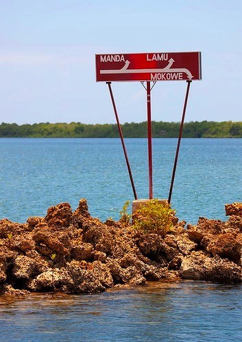 Mangrove Forests（保护区 / 海岸生态）-非行家旅行-Africa Wild Wander