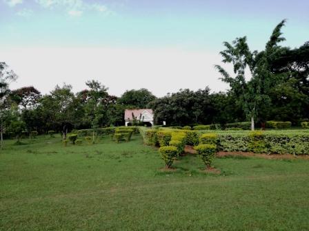 Nabongo Cultural Centre（纳邦戈文化中心）-非行家旅行-Africa Wild Wander