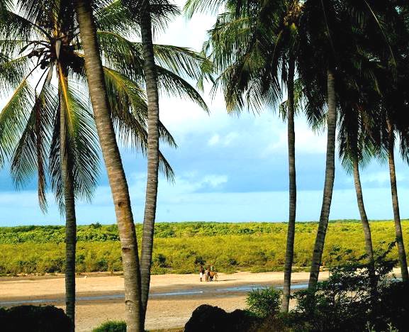 Pate Island（帕泰岛）-非行家旅行-Africa Wild Wander