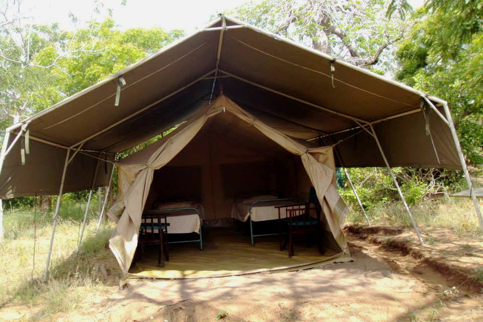 Mwaluganje Elephant Sanctuary（姆瓦卢甘杰大象保护区）-非行家旅行-Africa Wild Wander