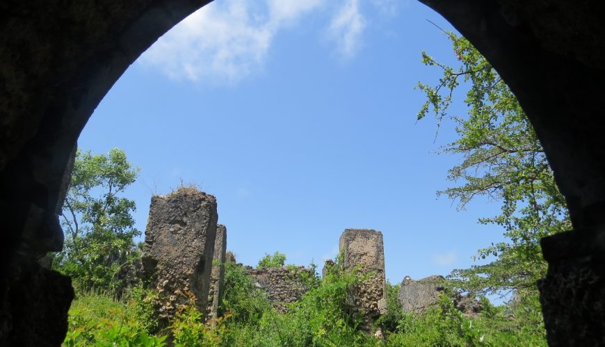 Ungwana Bay Ruins(水系 / 湖泊 / 海岸)-非行家旅行-Africa Wild Wander