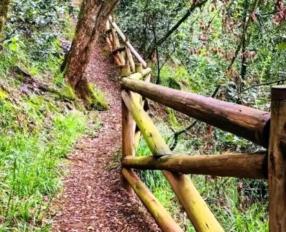 Ndaragwa Falls（瀑布 / 森林水系）-非行家旅行-Africa Wild Wander