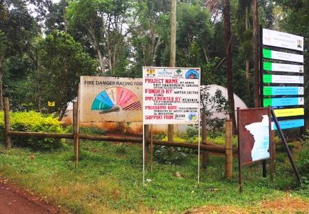 Chuka Forest（丘卡森林）-非行家旅行-Africa Wild Wander