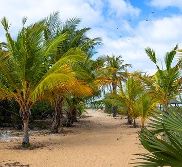 Shela Beach（谢拉海滩）-非行家旅行-Africa Wild Wander
