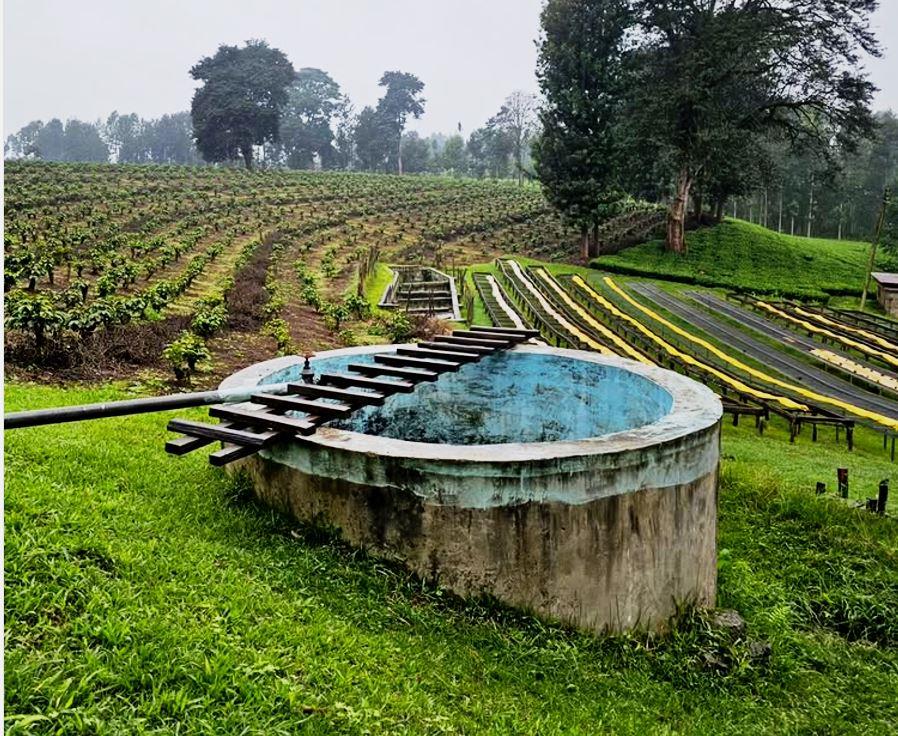 Kiburi Farm（基布里农场）-非行家旅行-Africa Wild Wander