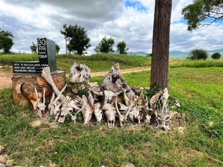 Taita Hills Wildlife Sanctuary（泰塔山野生动物保护地）-非行家旅行-Africa Wild Wander