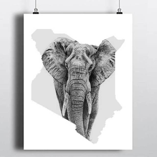 Kenya Visa Information（住宿 / 营地）-非行家旅行-Africa Wild Wander