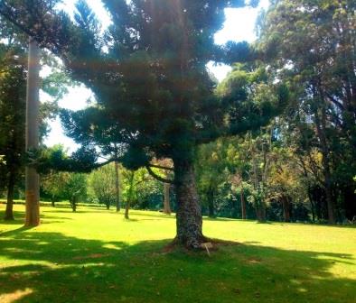 Chagaik Arboretum（查盖克树木园）-非行家旅行-Africa Wild Wander
