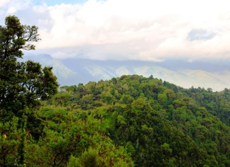 Mount Kipipiri（基皮皮里山）-非行家旅行-Africa Wild Wander