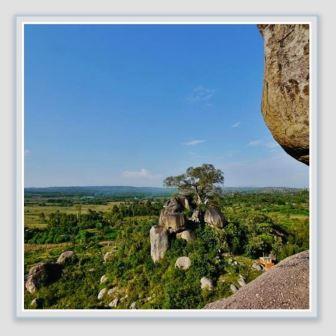 Home(历史遗产 / 博物馆)-非行家旅行-Africa Wild Wander