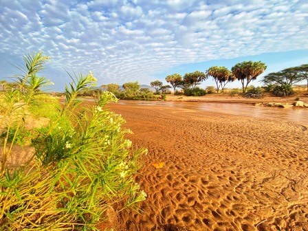Boji Dera Camp（自然景观 / 徒步）-非行家旅行-Africa Wild Wander