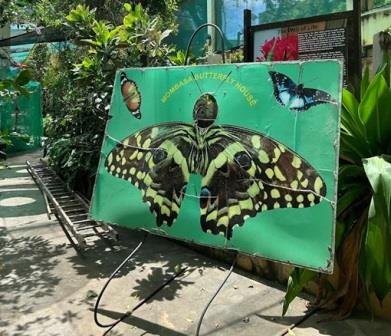 Mombasa Butterfly House（生态公园 / 海洋保护）-非行家旅行-Africa Wild Wander