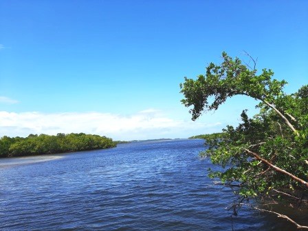 Gazi Women Mangrove Boardwalk（加齐女性红树林栈道）-非行家旅行-Africa Wild Wander