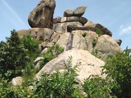Bonjoge National Reserve（邦乔格国家保护区）-非行家旅行-Africa Wild Wander