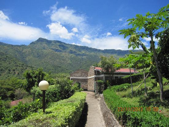 Sego Safari Lodge（自然景观 / 徒步）-非行家旅行-Africa Wild Wander