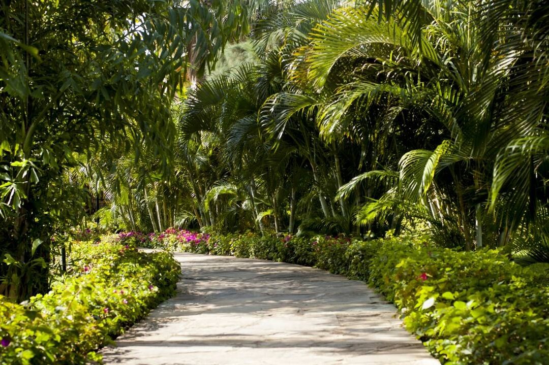 Almond Resort（住宿 / 营地）-非行家旅行-Africa Wild Wander