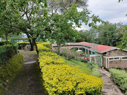 Sego Safari Lodge（自然景观 / 徒步）-非行家旅行-Africa Wild Wander