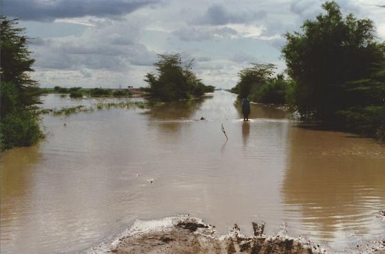 Lorian Swamp（水系 / 湖泊 / 海岸）-非行家旅行-Africa Wild Wander
