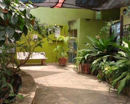 Mombasa Butterfly House（生态公园 / 海洋保护）-非行家旅行-Africa Wild Wander