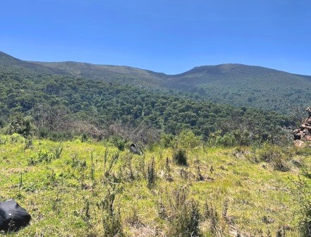 Table Mountain（Aberdare 高山 / 徒步）-非行家旅行-Africa Wild Wander