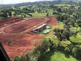 Kamariny Stadium（住宿 / 营地）-非行家旅行-Africa Wild Wander