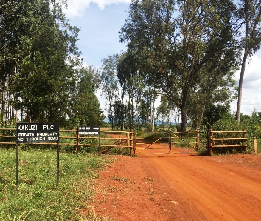 Kakuzi Boran Barn（农业 / 茶园体验）-非行家旅行-Africa Wild Wander