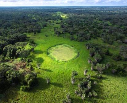 Amu Ranch(保护区 / 海岸生态)-非行家旅行-Africa Wild Wander