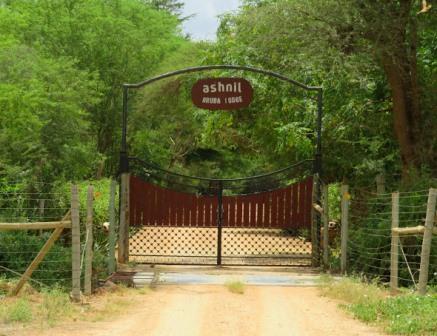 Ashnil Aruba Lodge（Tsavo East / 野生动物）-非行家旅行-Africa Wild Wander