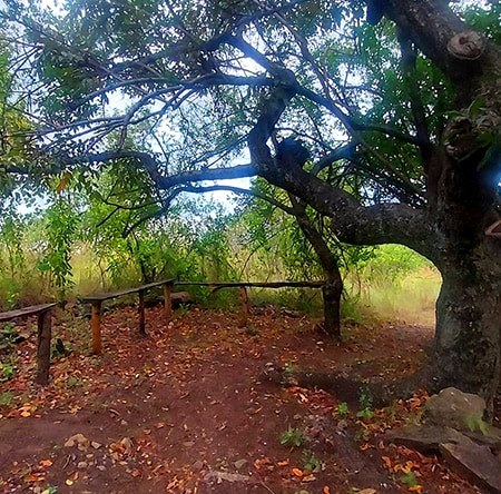 Fort Ternan Museum（福特特南史前遗址博物馆）-非行家旅行-Africa Wild Wander