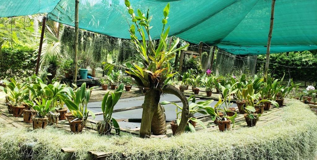The Hanging Gardens（县域目的地 / 专题资料）-非行家旅行-Africa Wild Wander