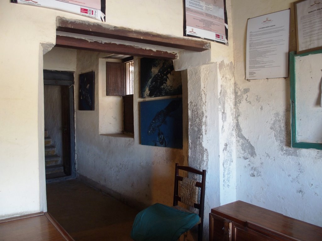 Malindi Museum（水系 / 湖泊 / 海岸）-非行家旅行-Africa Wild Wander