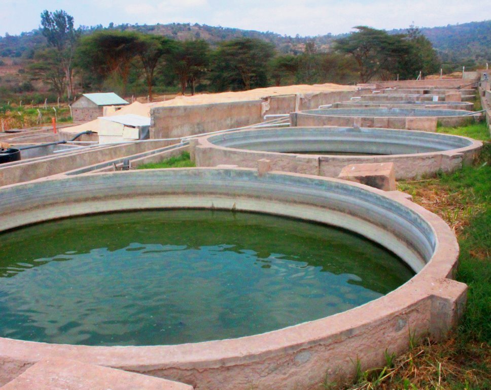 Kamuthanga Fish Farm（县域目的地）-非行家旅行-Africa Wild Wander