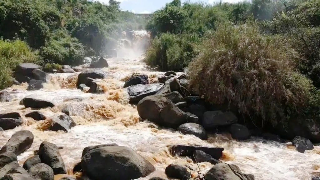 River Yala（亚拉河）-非行家旅行-Africa Wild Wander